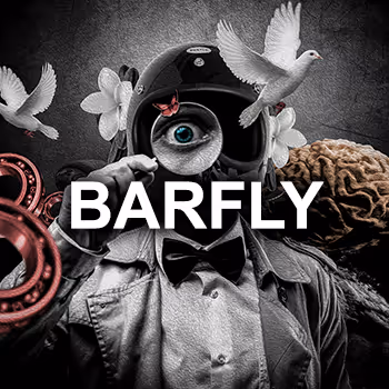 Barfly - old V2