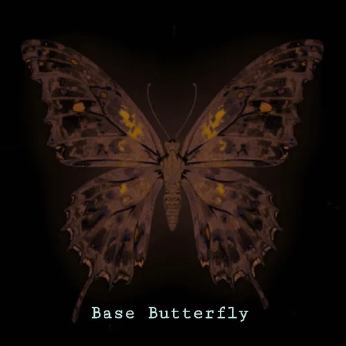 Base Butterfly