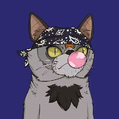 Base Grumpie Cat Club