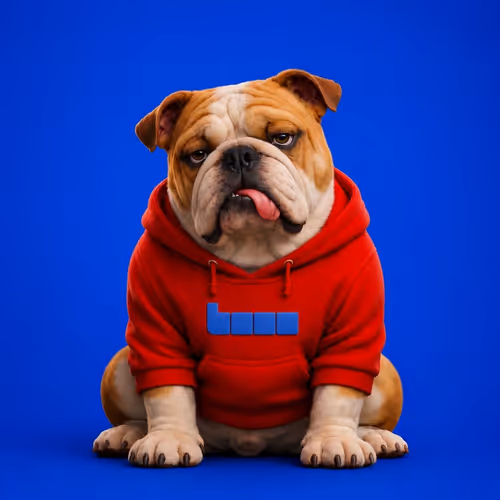 Media for Base Hoodie #60 item