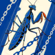 Base Mantis