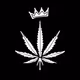 Base The Weedz NFT