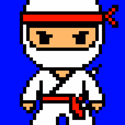 Based Ninja Pixel