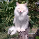 BaskervilTheCat