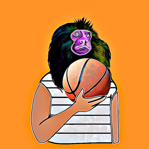 basketball monkey