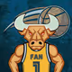BasketBull Fans