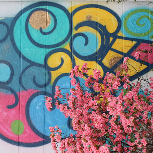 Bauvez x Shock Ice Cream Mural