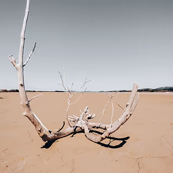 One Day in the Bavarian Desert - old