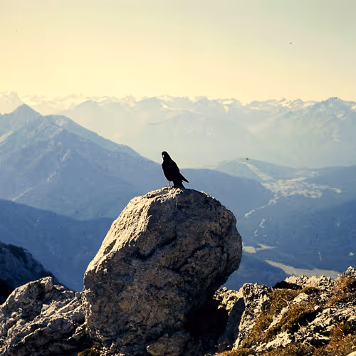 Bavarian Mountains