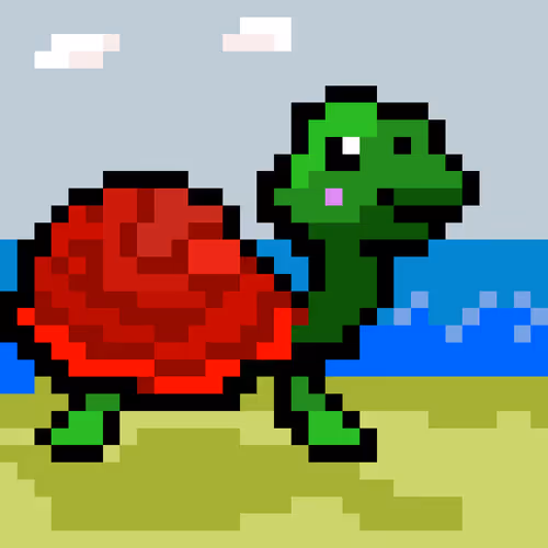 Beach Turtle Collection