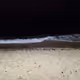 Beachvibes