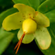 Beautiful Flora and Fauna