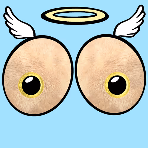 Beanie Boobs