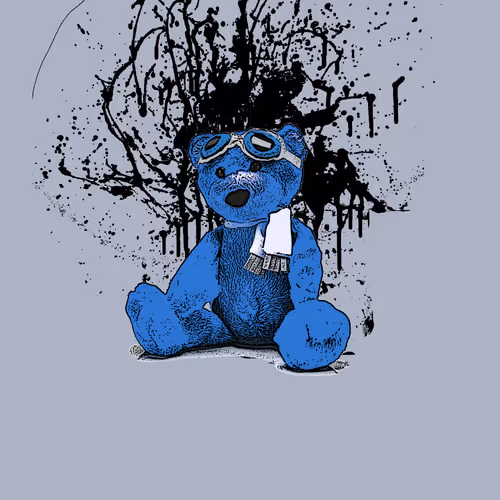 Teddy Bear Collection