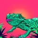 Bearded Dragons - old