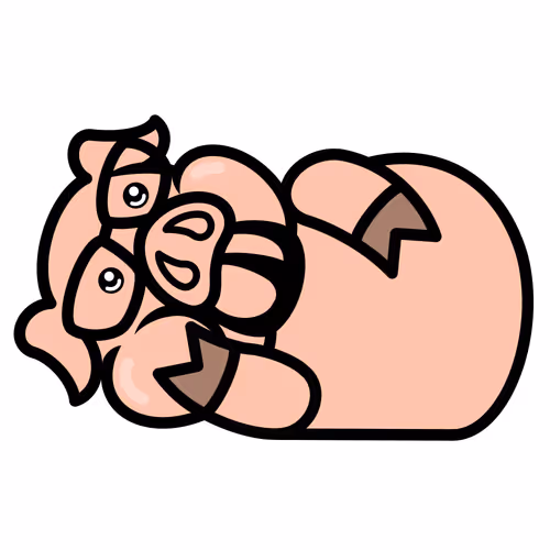 Bearded Pig Glasses-Sequel