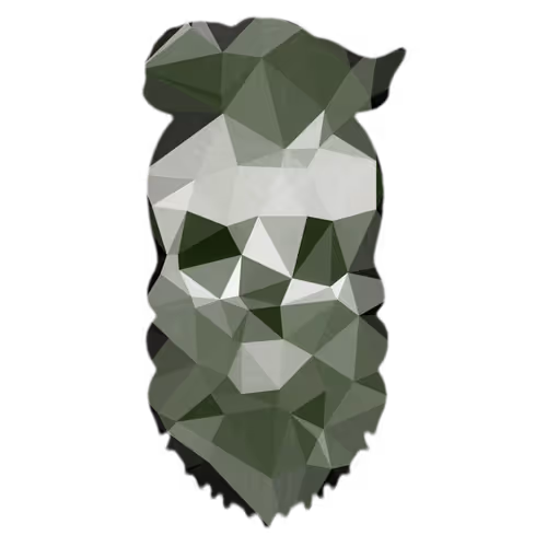 Bearded Stylish Skull