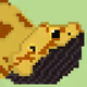 Beardies V2