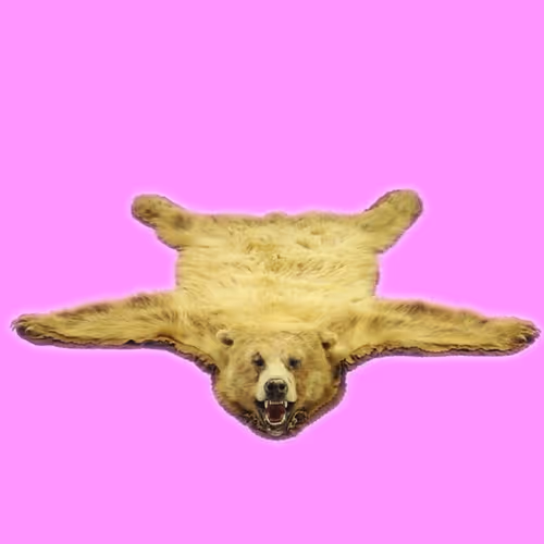 Bear Skin Rugs V3