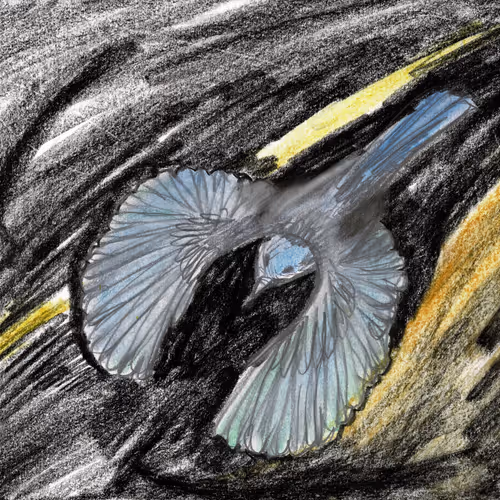 BEATS MUSIC BY ARTIST PAULA REILLY