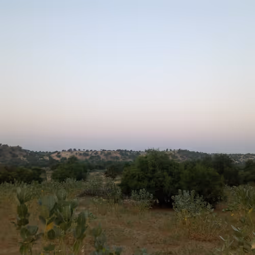 beatyfull image mobile camera