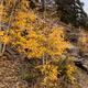 Beauties of the Mountains - old