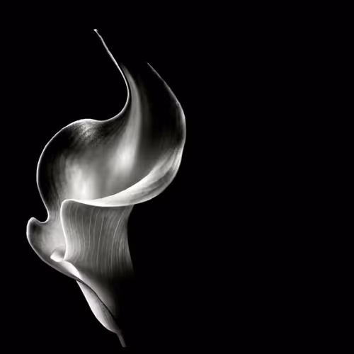 Beautiful Black and White Shapes - old