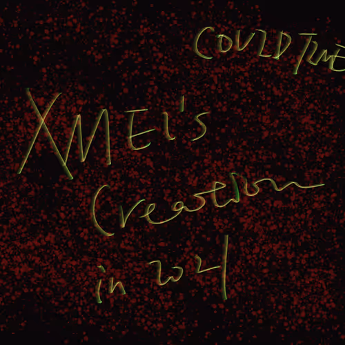 Xmei's Creation in 2021