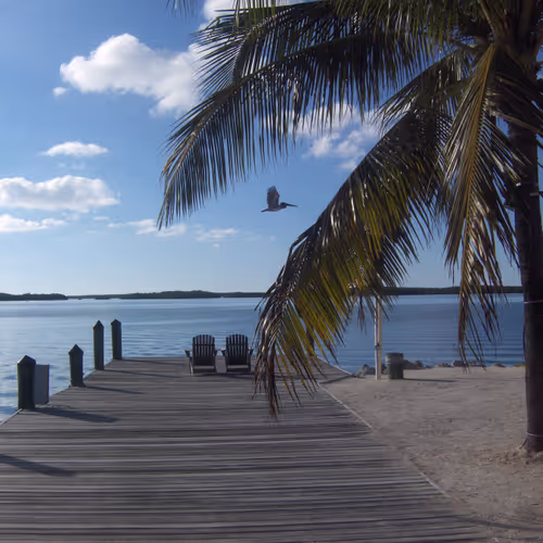 Beautiful moments in the sun - old