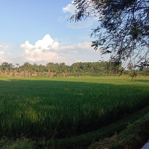 beautiful nature - w62fZKzoBe