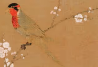 Beautiful paintings on polygon