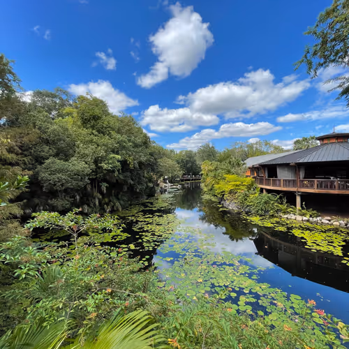 Beautiful Scenery 2021