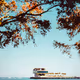 Beautiful St. Pete - Kienobi Media - old