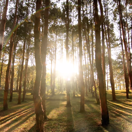 Beautiful@Sunrise - old