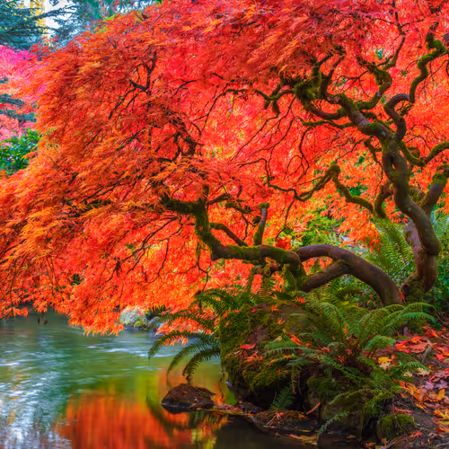 Beautiful Things That Are Gone - old