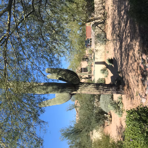 Beautiful views of Arizona