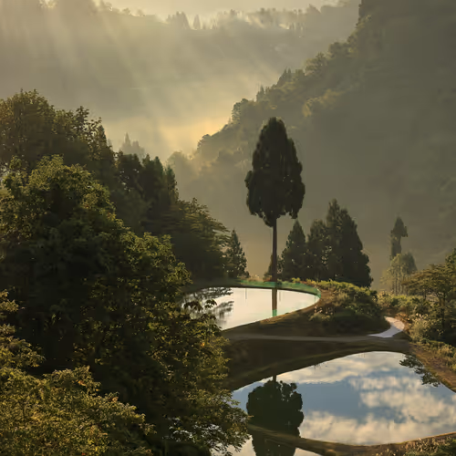 BEAUTIFUL YAMAKOSHI IPPONSUGI - old