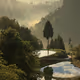 BEAUTIFUL YAMAKOSHI IPPONSUGI - old