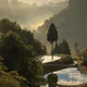 Beautiful YAMAKOSHI - old