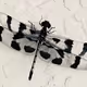 Beautiful Bug Life