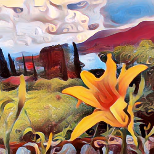 Beautiful colorful flowers of iLangk