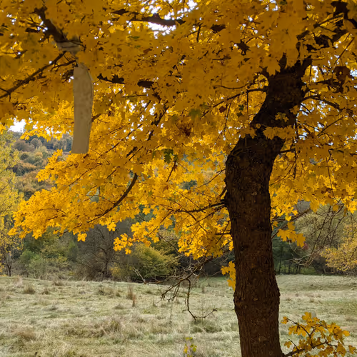 BeautifulPlaces&Nature