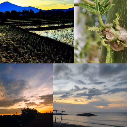 Beautiful scenery of iLangk