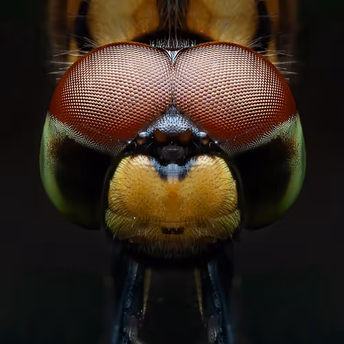 Beauty in details - old