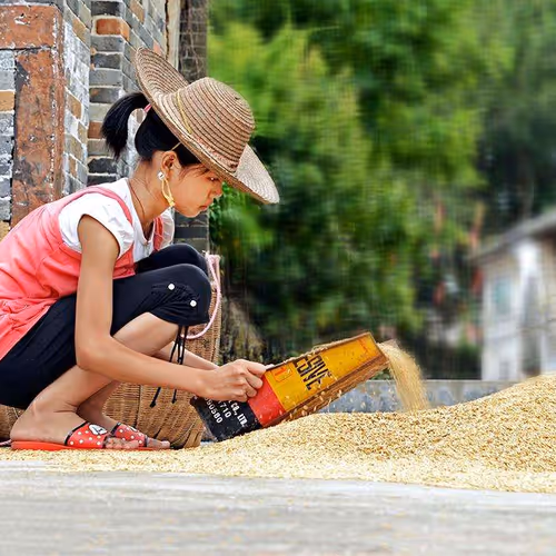 Beauty in rural life