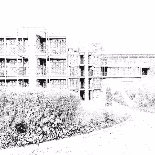 Beauty in the Midst of Chaos