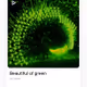beautyfull of green