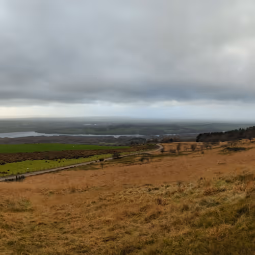 Because Someone Wanted It As An NFT