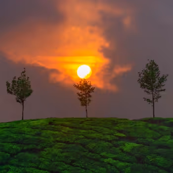 CURRENTLY BEING EDITED - old