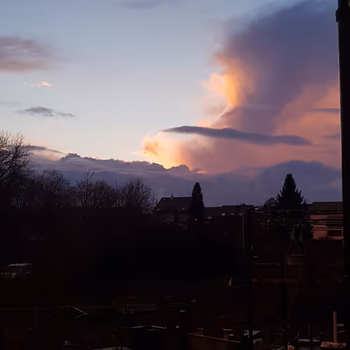 Belgian Winter